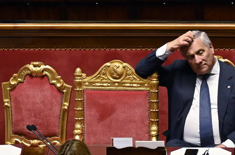 "Alleati in Ue con Liberali e Conservatori". Dal Ponte a giustizia e tasse, le priorità