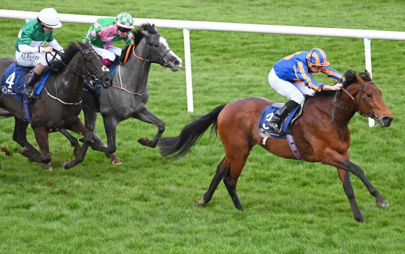 Paddington, ultima vittoria "Eclipse Stakes" (fonte:racingtv.com)