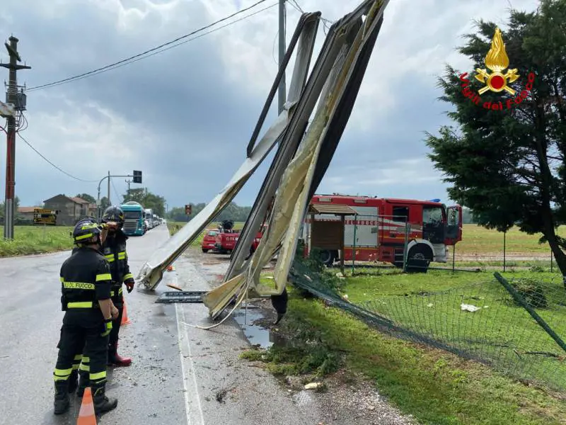 Nubifragi nel Nord Italia. Donna muore in Brianza schiacciata da un albero