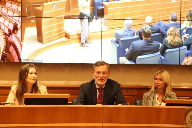 Protezione, prevenzione e certezza della pena: un ddl contro la violenza domestica