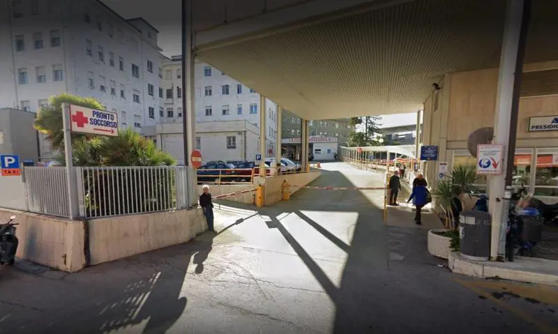 Terrore in spiaggia nel foggiano: due fidanzati aggrediti da un lupo