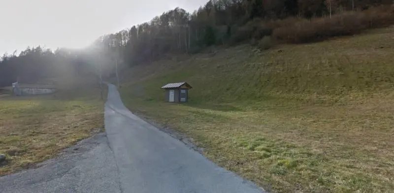 Il Tar di Trento salva l'orsa F36: sospeso il decreto di abbattimento 