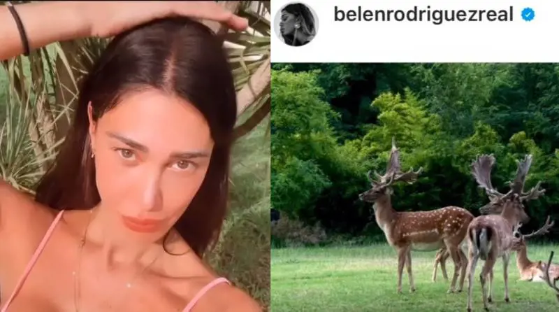 Le "corna" sulla testa, il video dei cervi: così Belen spiazza tutti sui social