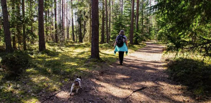 Bending Spoons acquisisce Komoot, app del trekking da 45milioni di utenti