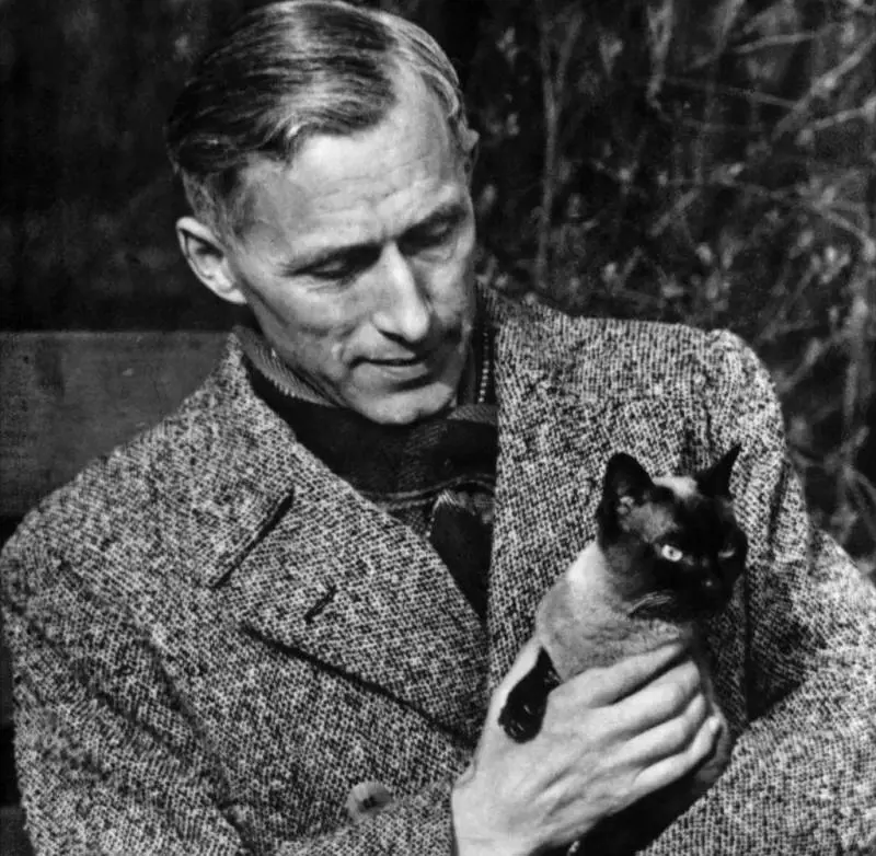 Meglio il cane o il gatto? Hanno un fascino completamente diverso