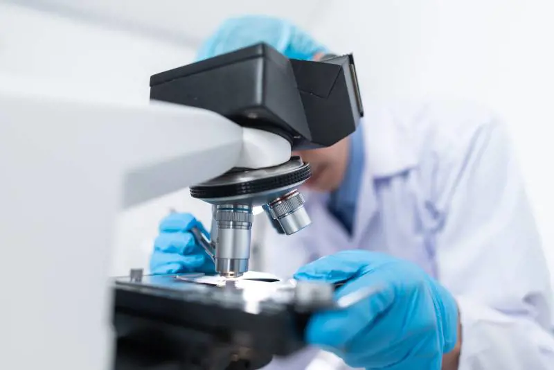 Il "Nobel" della ricerca per le cellule anti tumori