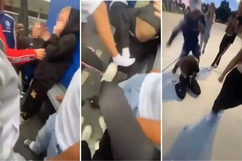 "È allarme sicurezza". Le baby-gang di stranieri tra bullismo, umiliazioni e sottomissioni 