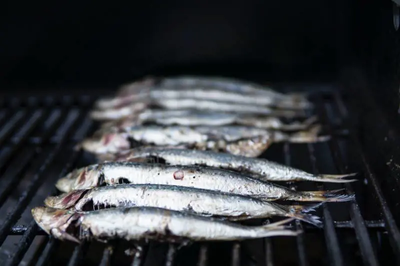 Effetto Fukushima sulla pesca: cos'è successo al pesce giapponese