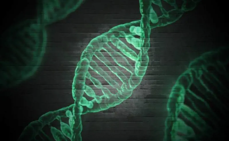 Svolta su Unabomber: trovato il Dna