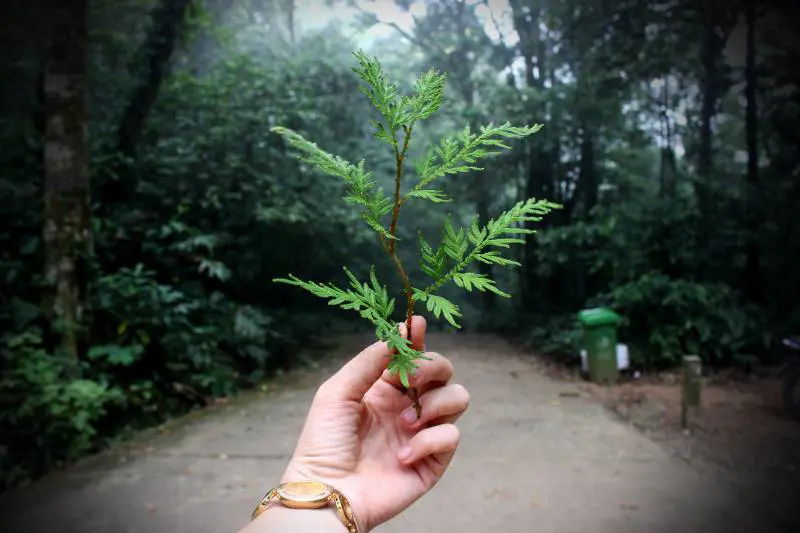 L'apocalisse può attendere: come la paura ha reso il «green» una fede globale
