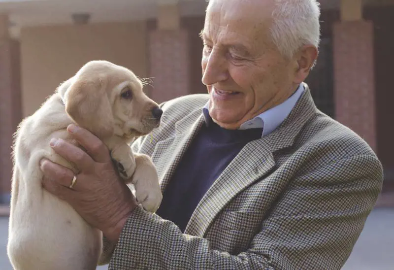 "La mia fortuna? Il licenziamento e il mio cane dal veterinario"