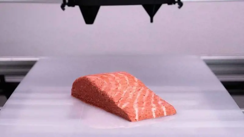 Un mix di funghi filamentosi: il salmone (vegano) stampato in 3D