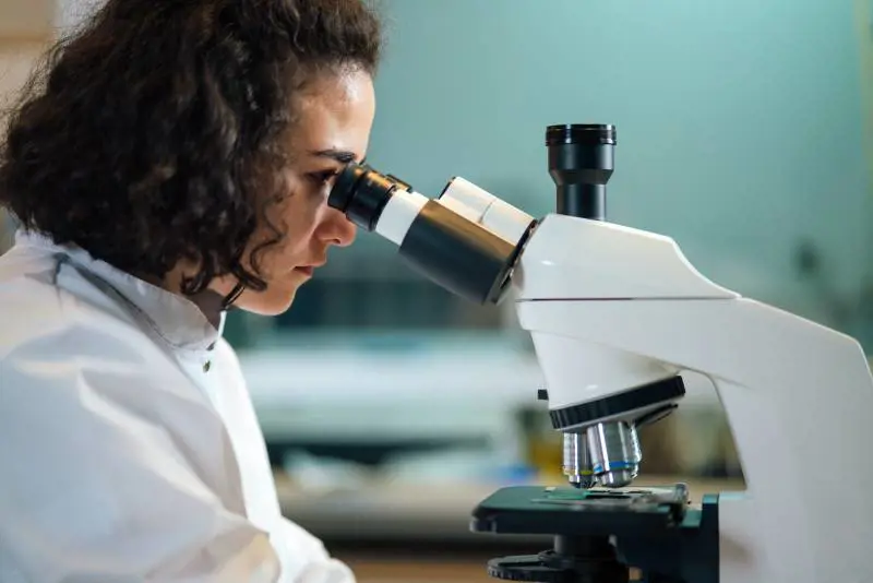 PFAS e fenoli: cosa sono e i rischi per la salute