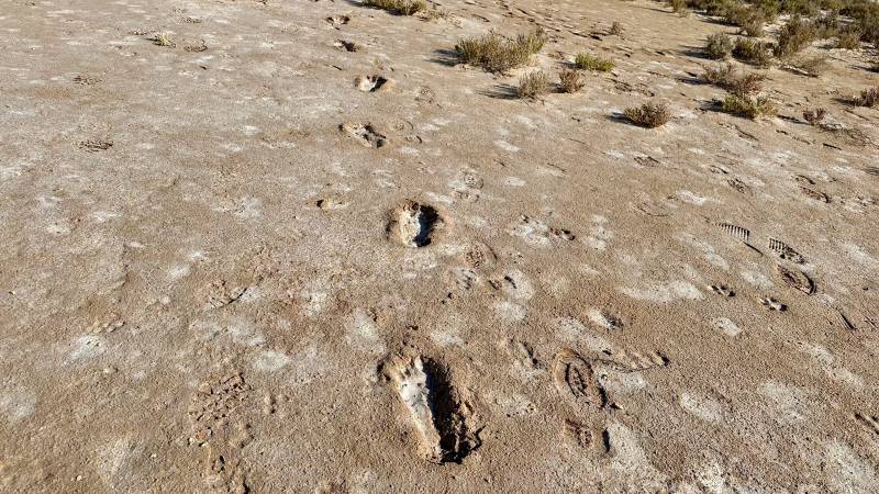 Orme di piedi nudi nel deserto dove passano i migranti fra Libia e Tunisia.