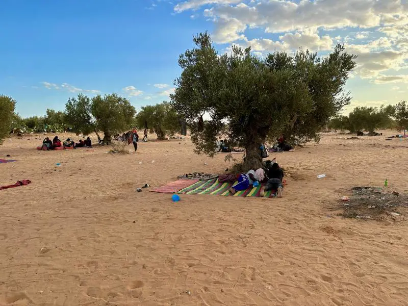 Migranti bivaccano sotto gli olivi alla periferia di El Amra in attesa della partenza per l'Italia.