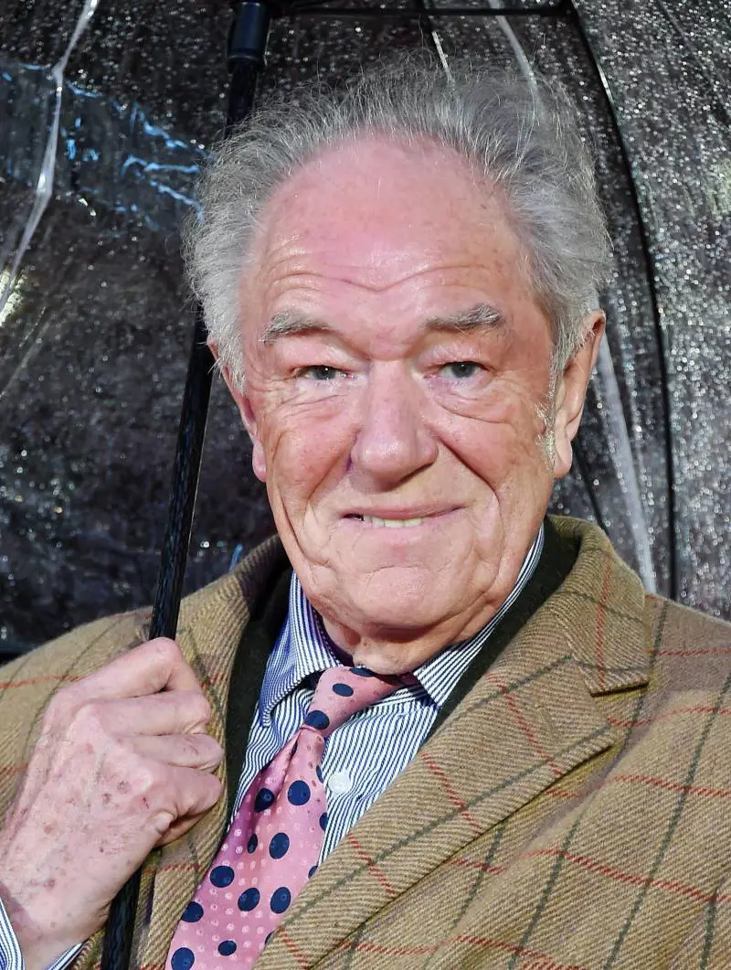 Addio Albus, eri Silente ma urlavi in faccia al Male