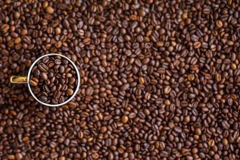 Caffè, ecco cinque consigli per gustarlo al meglio