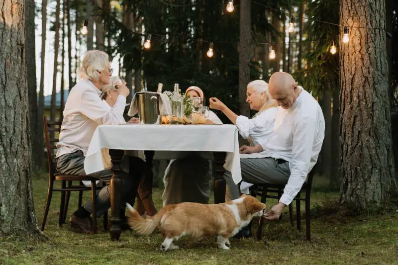 Over 60, cosa mangiare la sera: i cibi più digeribili