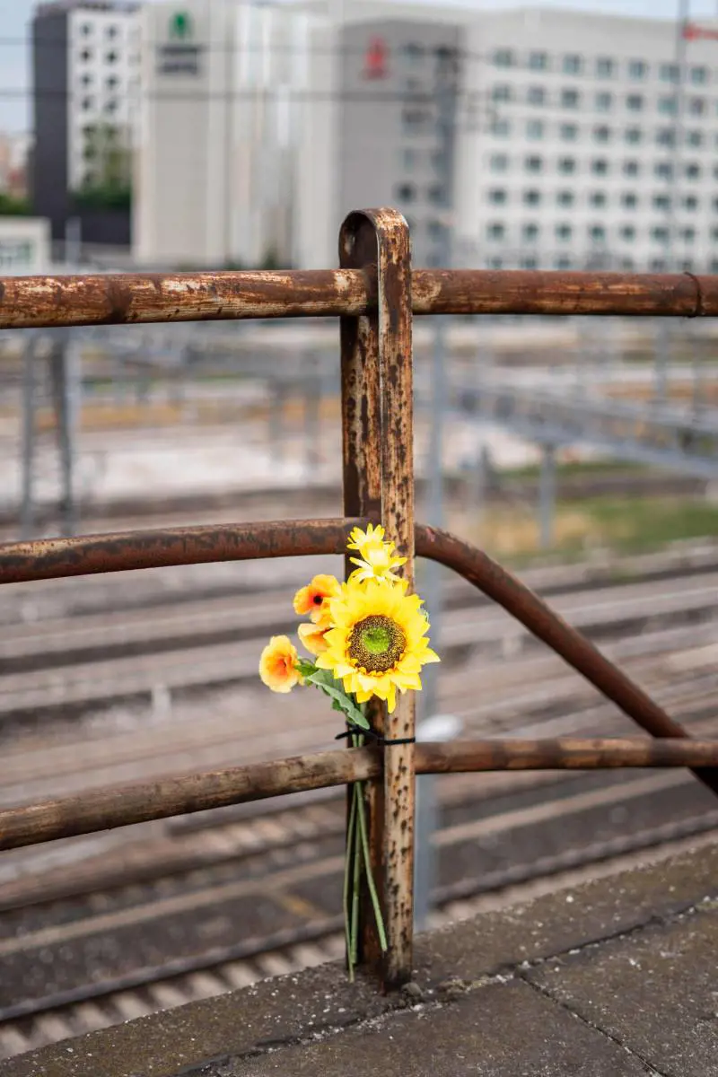 Non accusate il guardrail, Giannini silurato e Ciccio Bomber: quindi, oggi...