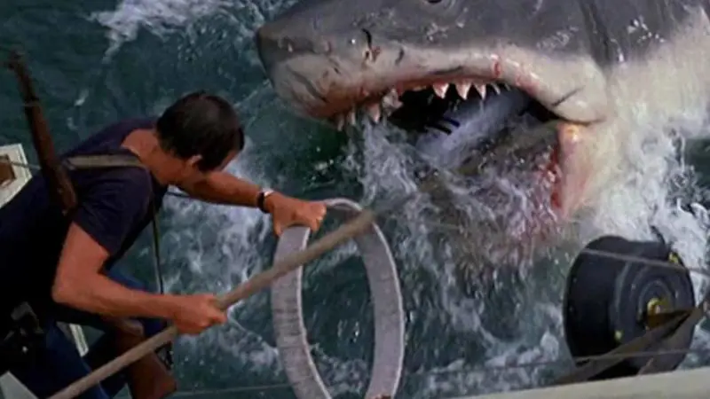 Lo squalo, tutto quello che (forse) non sapete sul film cult di Spielberg