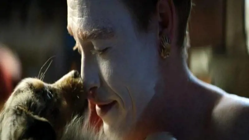 “Dogman”, il ritorno in purezza e bizzarria del grande Luc Besson