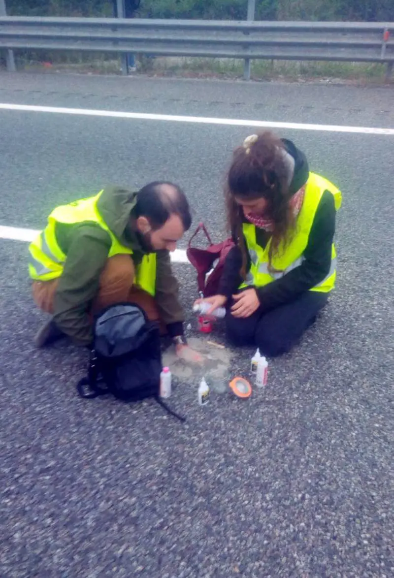 L'ultima degli ecovandali: si cementano le mani sull'autostrada A4
