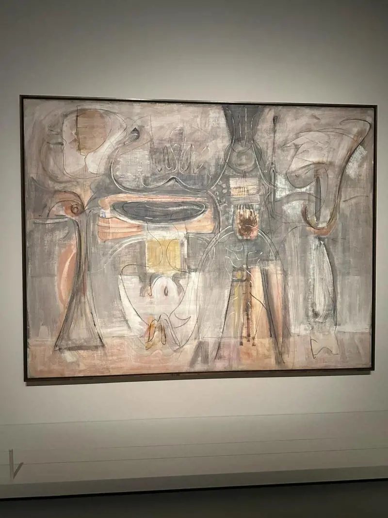 Immagine gallery