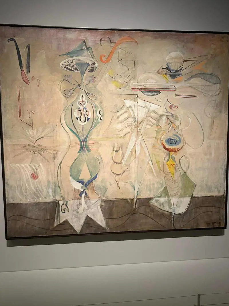 Immagine gallery
