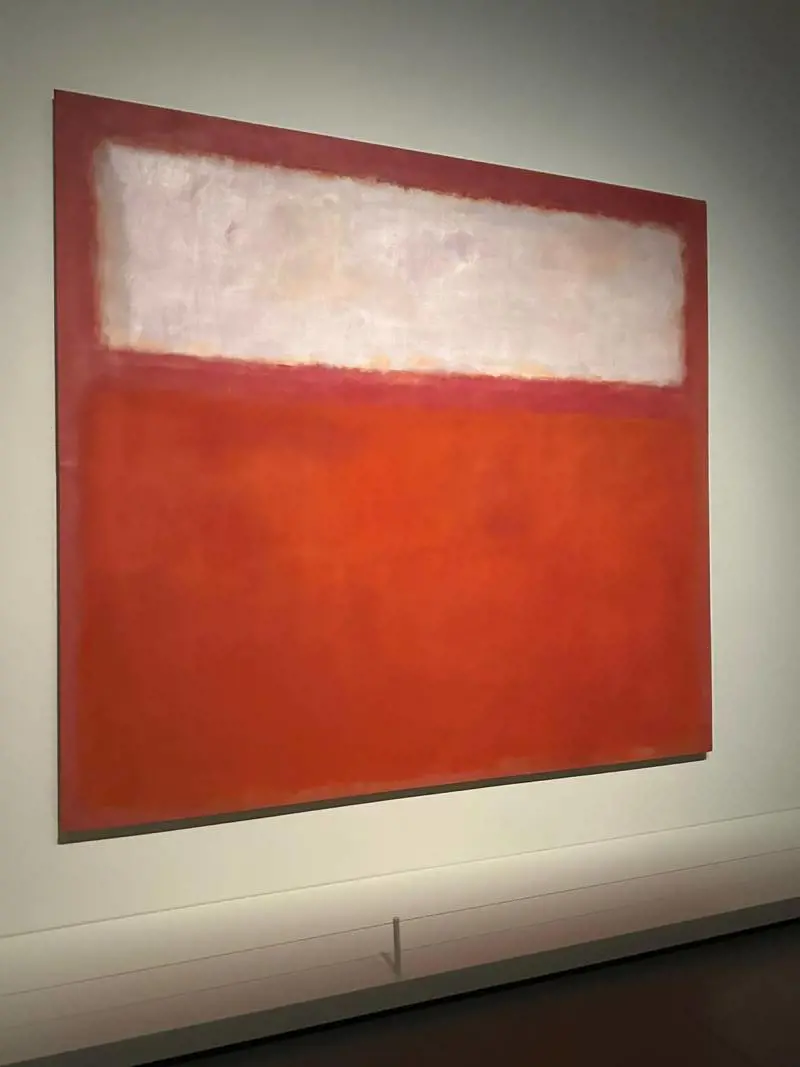 Immagine gallery