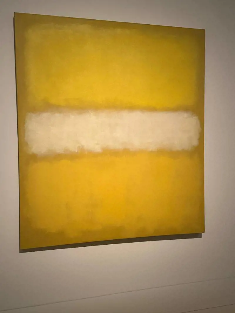Immagine gallery