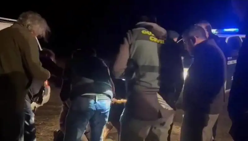 "Mamma, arrivano". 27enne sbranata da 5 cani durante la passeggiata