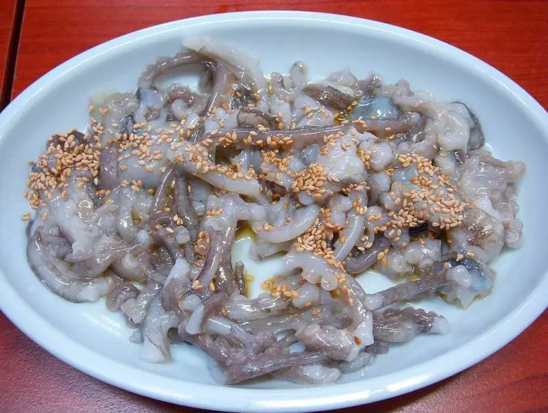Muore soffocato da un tentacolo di polpo: attenzione al san-nakji