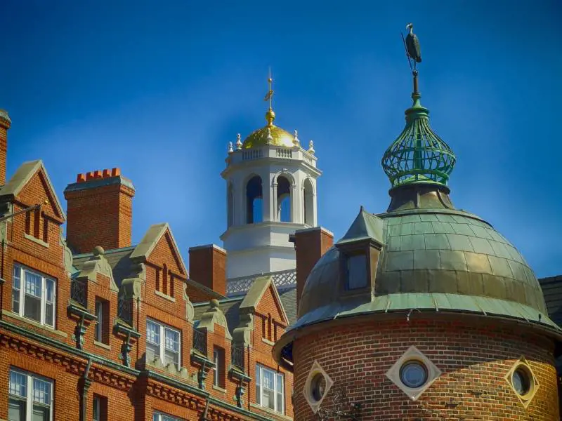 Harvard, calano del 5% le domande di ammissione. Cosa c'è dietro