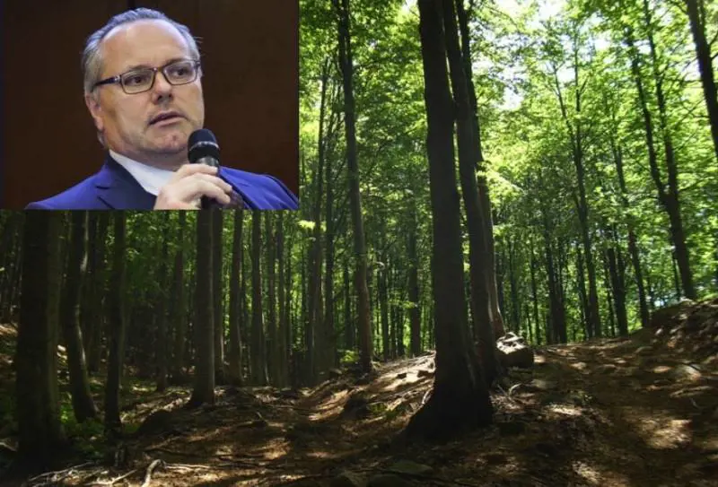 Federlegno: valorizzare l'utilizzo a cascata del legno