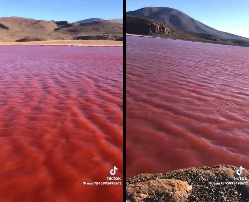 Il Nilo si tinge di rosso: profezia apocalittica o fenomeno naturale? Cosa sta accadendo