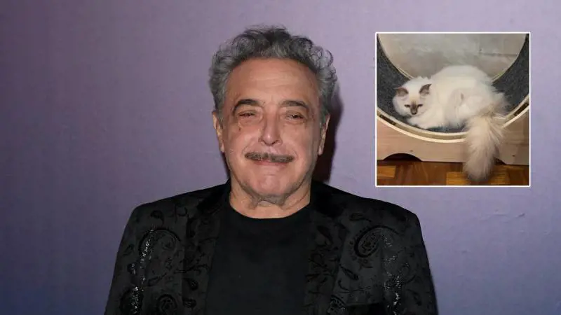 Nino Frassica e il gatto scomparso, la procura apre un fascicolo: cosa succede ora