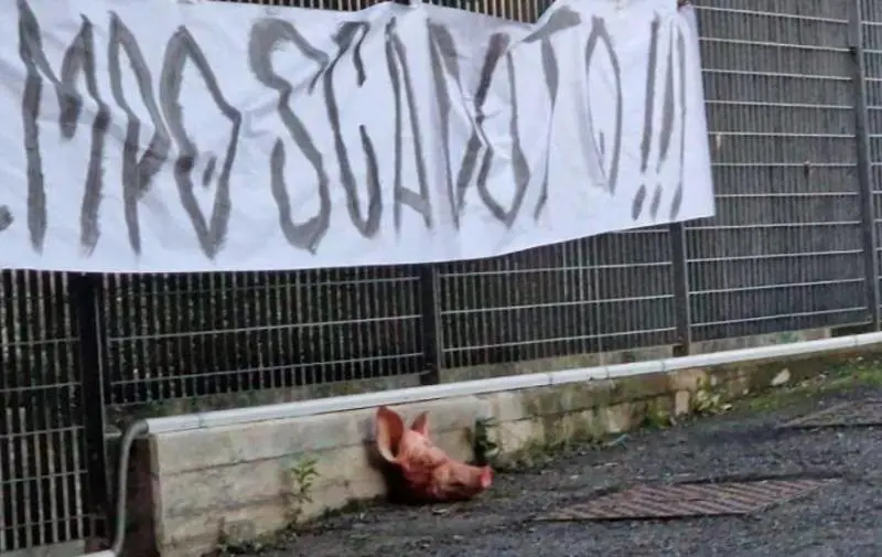 Spezia choc: testa di maiale davanti alla sede del club
