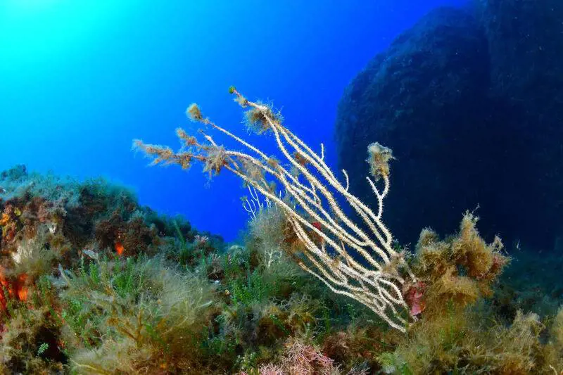Il Mediterraneo è inclinato: più profondo in Africa