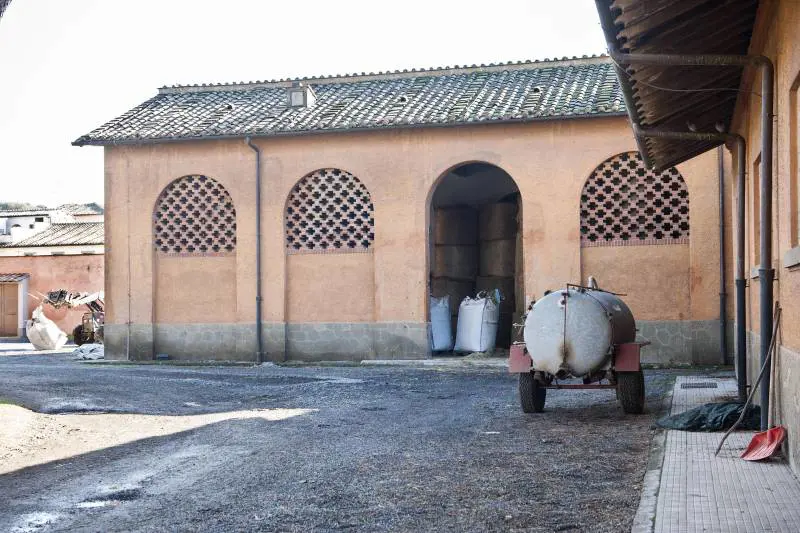 Foto di archivio