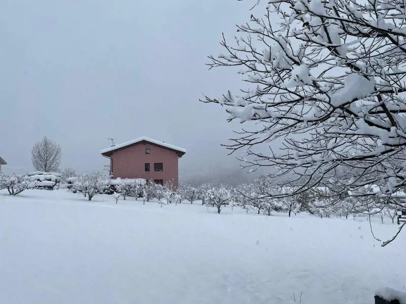 Preparatevi alla neve: lunedì arriva "big snow" (anche in pianura)