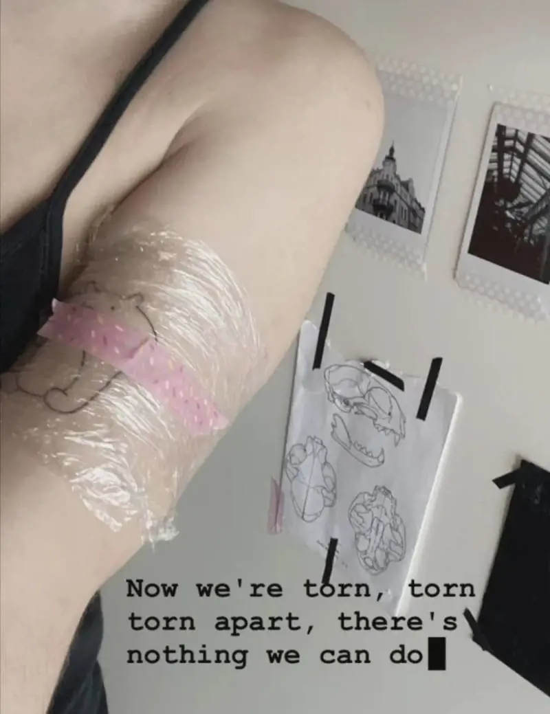 Quel tatuaggio della sorella di Giulia Cecchettin: cos'è e cosa significa