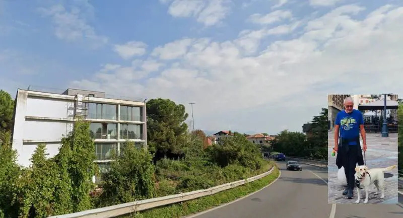 Monza, investito da un'auto pirata e abbandonato: così il suo labrador lo salva