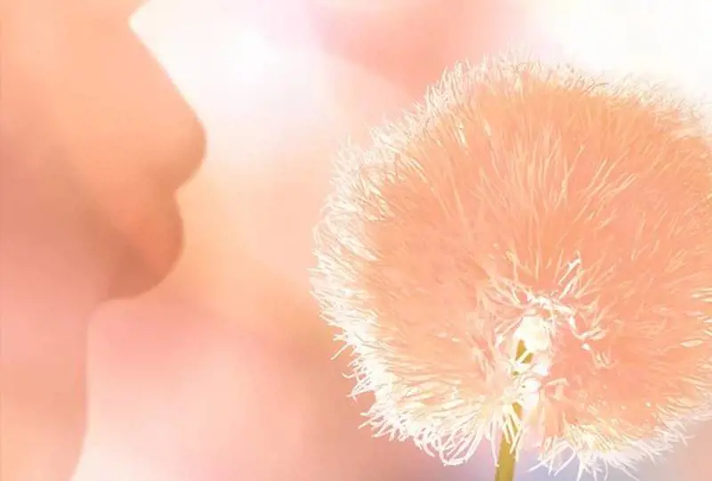 "Peach Fuzz": cos’è (e a cosa corrisponde) il colore dell’anno 2024