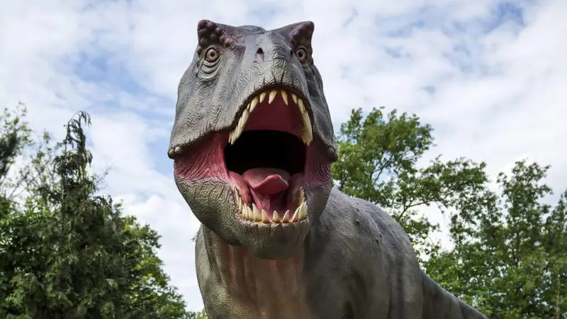 L'ultima cena del tirannosauro: cosa c'era nello stomaco del predatore