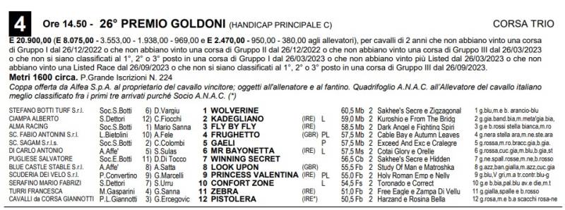 Premio Goldoni 2023
