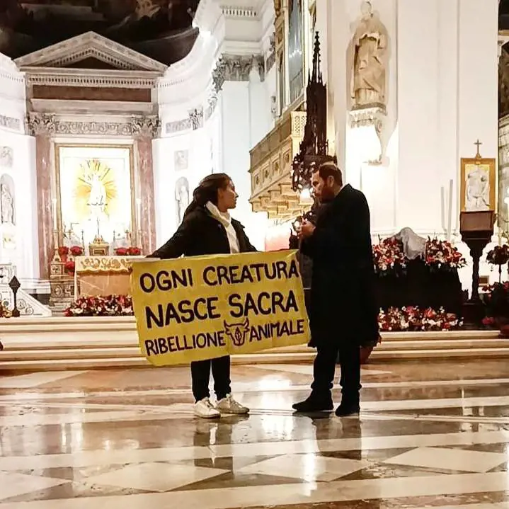 La protesta animalista