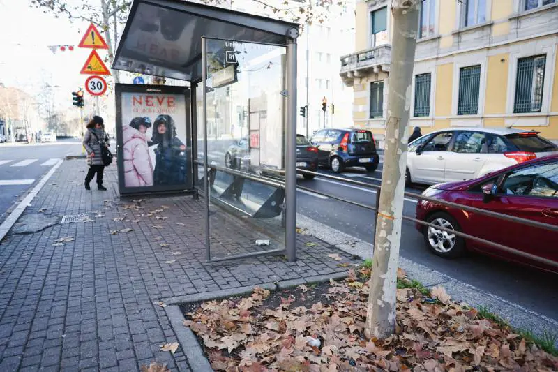 Immagine gallery
