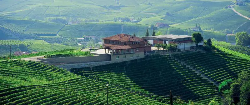 Livia Fontana, la modernità del Barolo