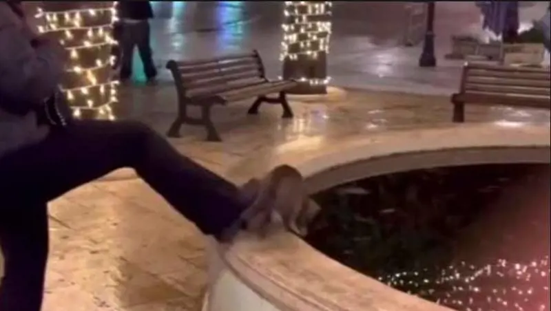 Ragazzina annega un gatto nella fontana: "Amò, un po' di notorietà"   