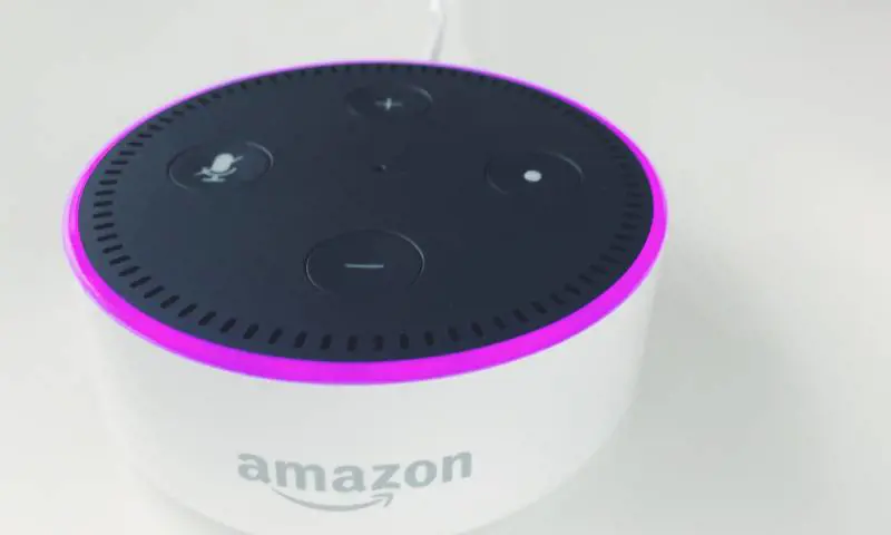 Amazon spia davvero i suoi utenti? Ecco come stanno davvero le cose e come agire sulla privacy